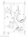Fig. 07 - Transforming sensory representations
