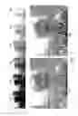 Fig. 07 - IMAGE PROCESSING METHOD AND ELECTRONIC DEVICE USING THE SAME