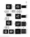 Fig. 02 - Vascular territory segmentation using mutual clustering information from image space and label space