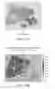 Fig. 19 - Whole slide image registration and cross-image annotation devices, systems and methods