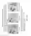 Fig. 20 - Whole slide image registration and cross-image annotation devices, systems and methods