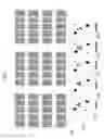 Fig. 02 - MULTI-WIN POKER GAME