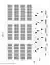 Fig. 07 - MULTI-WIN POKER GAME
