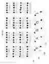 Fig. 15 - MULTI-WIN POKER GAME