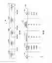 Fig. 09 - Utilizing stored write environment conditions for read error recovery