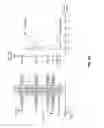 Fig. 52 - REDUCING DISTURB WITH ADJUSTABLE RESISTANCE BIT LINE STRUCTURES