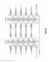 Fig. 16 - AUTO-TRACKING UNSELECTED WORD LINE VOLTAGE GENERATOR