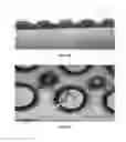 Fig. 08 - High density grids
