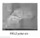 Fig. 04 - Highly conductive graphene foams and process for producing same