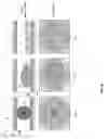 Fig. 09 - Microfluidics controlled tunable coil