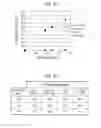 Fig. 08 - Etching method and storage medium
