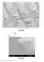 Fig. 04 - Apparatus and methods for micro-transfer-printing