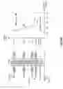 Fig. 47 - Memory hole bit line structures