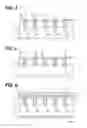 Fig. 04 - Semiconductor device and manufacturing method for the same