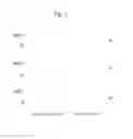 Fig. 03 - NITRIDE SEMICONDUCTOR CRYSTAL AND METHOD OF FABRICATING THE SAME