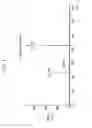Fig. 06 - Compound, organic photoelectronic device and image sensor