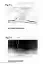Fig. 04 - Electrically conductive OLED carrier, OLED incorporating said carrier, and its manufacture