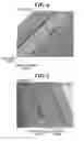 Fig. 04 - Method for manufacturing organic light emitting element including light extracting layer formed by irradiating coating solution