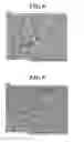 Fig. 06 - Method for manufacturing organic light emitting element including light extracting layer formed by irradiating coating solution