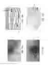 Fig. 09 - Safely ingestible batteries