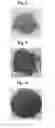 Fig. 07 - Manufacturing apparatus of high purity MOx nanostructure and method of manufacturing the same