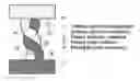 Fig. 01 - FUNCTIONAL GRADING OF CATHODE INFILTRATION FOR SPATIAL CONTROL OF ACTIVITY