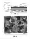 Fig. 03 - Mixed-reactant fuel cells with selective electrodes
