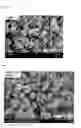 Fig. 02 - Solid electrolyte particles, preparation method thereof, and lithium secondary battery comprising the same