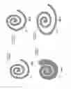 Fig. 06 - Three-dimensional multiple spiral antenna and applications thereof
