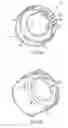 Fig. 06 - Anti-vibration coupling device
