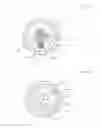 Fig. 12 - CONNECTION STRUCTURE FOR MULTI-CORE FIBER AND OPTICAL-FIBER-BUNDLE STRUCTURE, CONNECTION STRUCTURE FOR MULTI-CORE FIBERS, METHOD FOR EXCITING RARE-EARTH-DOPED MULTI-CORE FIBERS, AND MULTI-CORE-OPTICAL-FIBER AMPLIFIER