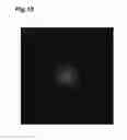 Fig. 11 - Laser element and laser device