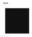 Fig. 25 - Laser element and laser device