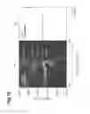 Fig. 19 - Semiconductor laser element