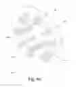 Fig. 09 - Brushless electric motor/generator