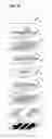 Fig. 18 - High-frequency laminated component and laminated high-frequency filter