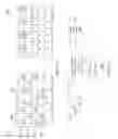 Fig. 06 - Low Density Parity Check Decoder With Relative Indexing