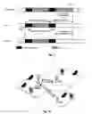 Fig. 07 - Search space for non-interleaved R-PDCCH