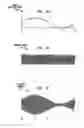 Fig. 03 - Methods and systems for down-converting a signal