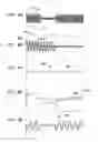 Fig. 17 - Methods and systems for down-converting a signal