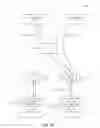 Fig. 05 - Proxy of routing protocols to redundant controllers