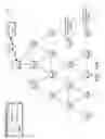 Fig. 13 - Fast network formation after network power restoration