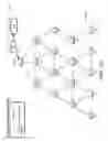 Fig. 18 - Fast network formation after network power restoration