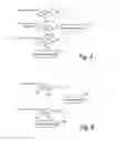 Fig. 06 - Packet data network, a method for operating a packet data network and a flow-based programmable network device