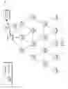 Fig. 02 - Order-sensitive communications in packet reordering networks