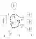 Fig. 05 - Mobile device user authentication based on user behavior information