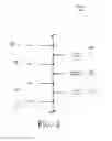 Fig. 04 - Linking existing Wi-Fi access points into unified network for VoIP