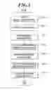Fig. 04 - Alignment sheet, image forming apparatus and method for aligning image forming position