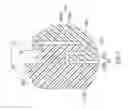 Fig. 10 - Image capturing module having a built-in dustproof structure