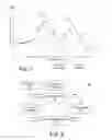 Fig. 05 - Contrast detection autofocus using multi-filter processing and adaptive step size selection
